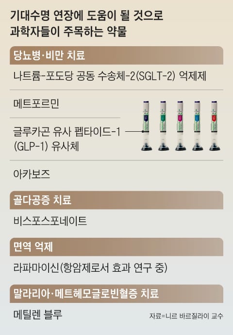 그래픽=김성규