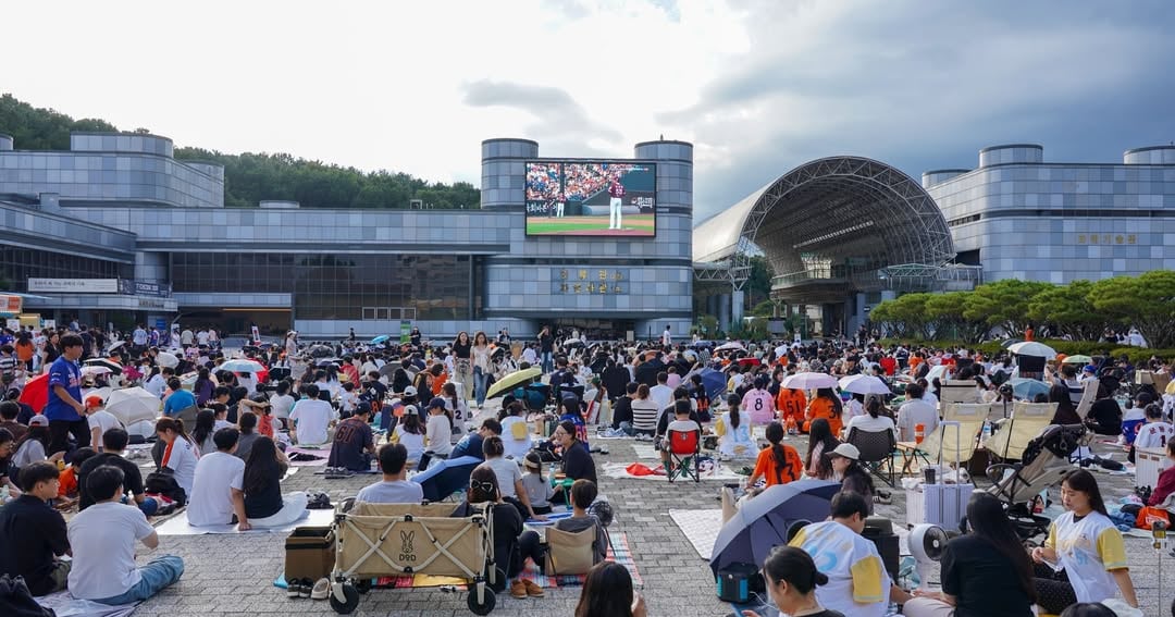대체 야구 관람 공간 관련 이미지