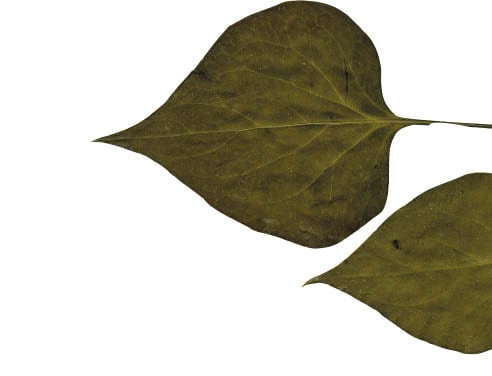 ±¹¸³»ý¹°ÀÚ¿ø°ü