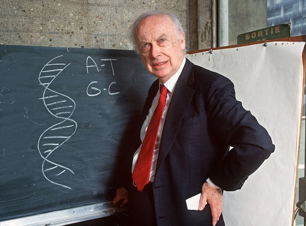 On April 23, 1993, in Paris, American geneticist James Dewey Watson explains his research in front of a blackboard. He is a co-recipient of the 1962 Nobel Prize in Physiology or Medicine for the discovery of the DNA molecular structure, alongside Britons Francis Crick and Maurice Wilkins. James Watson, the Nobel laureate who co-achieved the significant discovery of the DNA double helix structure, dies on November 7, 2025, his former laboratory announces. He leaves a blemish on his career due to repeated racist remarks. Aged 97. /DANIEL MORDZINSKI/AFP Yonhap