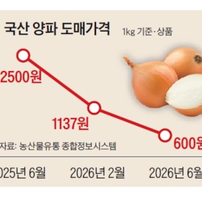 농부들은 왜 멀쩡한 양파밭을 갈아엎을까?