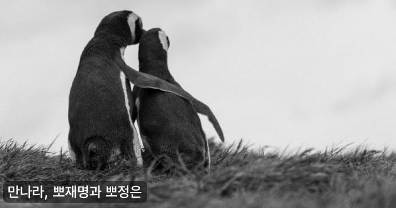 President Lee’s Remark: “Meet Po Jaemyung and Po Jungeun” – Controversy & Analysis President Lee’s Remark: “Meet Po Jaemyung and Po Jungeun” – Controversy & Analysis