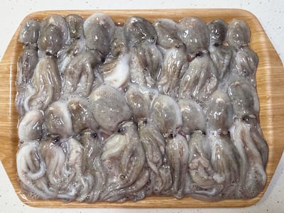 왜 이제 알았나 가을 주꾸미, 부드러움의 극치 20마리 2만원대 초특가