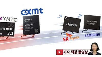 삼성,하이닉스 무섭게 뒤쫓아오는 중국 D램의 퀀텀점프!