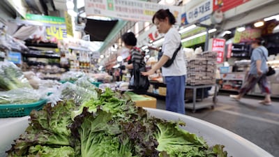 빚으로 버티는 가구 7년 만에 최다… 개인회생 신청도 역대 최대