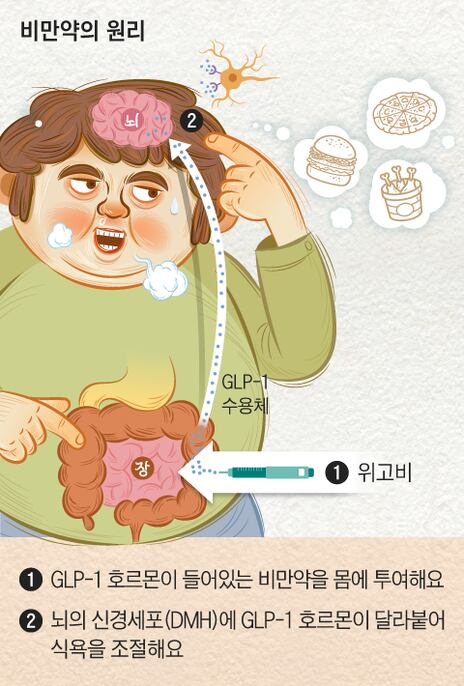 average weight loss on glp 1 first month GLP-1 Survey: 37.5% of People Stop GLP-1s after Just 3 Months