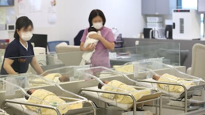 한국인이 많이 받은 수술... 50대 이상 백내장, 40대 치핵, 2030은?