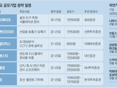 가을 공모주 사볼까… AI·반도체 기업 줄줄이 출격