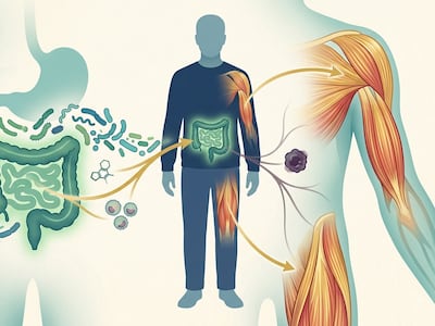 먹어도 살 빠지는 암 환자…체중·근육 손실 막을 치료제 나오나