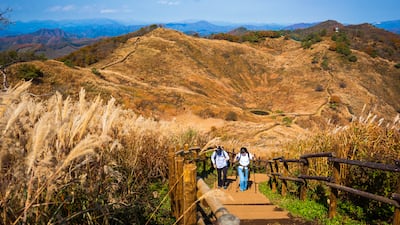 민둥산엔 은빛 억새, 함백산엔 단풍 산사… 가을 여행의 정석, 정선