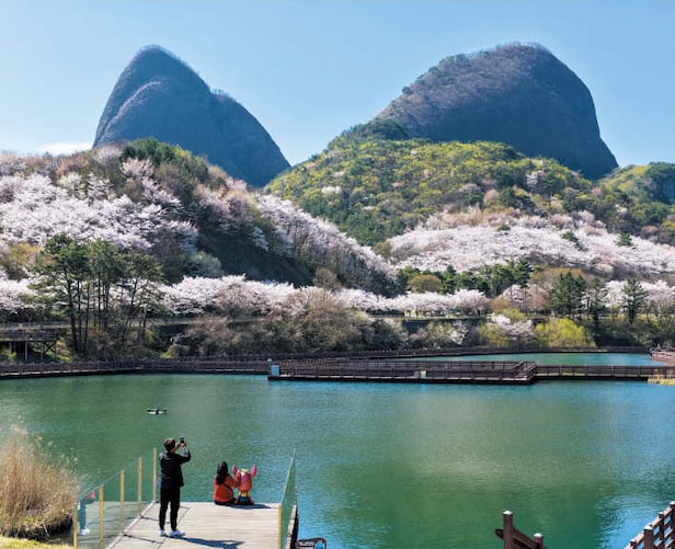 ���� 13�� ���� ���� ���̻꿡 ������ �Ǿ����ϴ�. ���� �͸� ���� �� ���츮�� ������. /���ȱ�