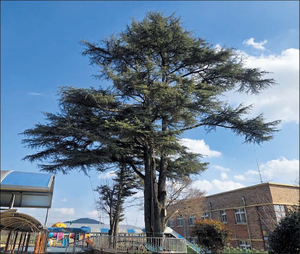  ���ö ����