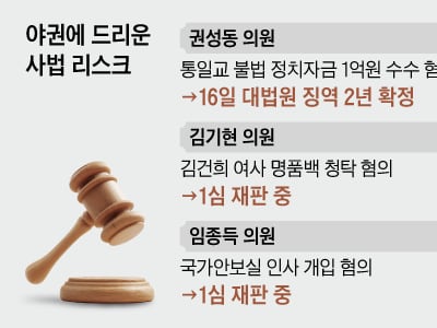 野 중진도, 차기 주자들도… 사법 리스크에 발목 잡혔다