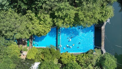 Hidden Forest Swimming Pool Emerges Amid Heatwave