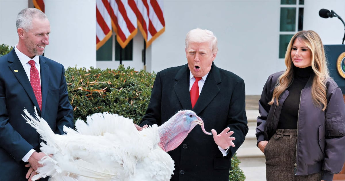트럼프, 추수감사절 칠면조 사면 - 뉴스 썸네일 이미지
