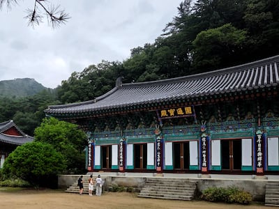 숲 향기 맡고 싶어서 저절로 심호흡하게 되는 곳