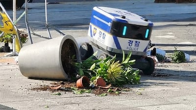 “암행순찰하다 화분쳤다”… 고양폴리봇 ‘쿵’ 화분 파손