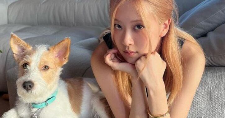 티파니 목줄을 하고 브런치를, 펫셔리 라이프 - 뉴스 썸네일 이미지