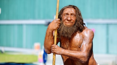 유난히 근육이 잘 붙는 당신... “내 안에 네안데르탈인 있다”