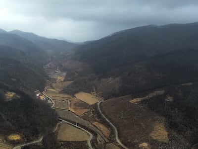 “유령업체로 실적 뻥튀기해 산불 복구 공사에 부정 입찰” 국세청, 10개 산림업체 세무조사 착수
