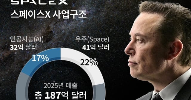 SpaceX's 95x Valuation Reflects AI Growth Bets