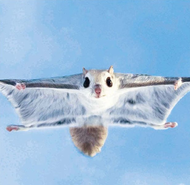 �ϴôٶ��㰡 ���� ��ġ�� Ȱ���ϰ� �־��. /BBC � ��Ʃ��