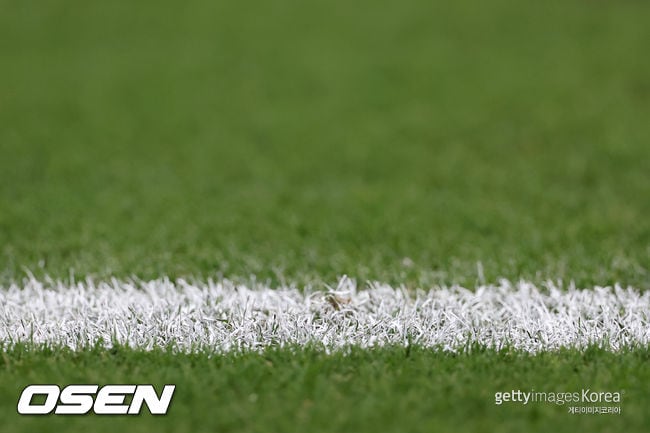 '말라서 경기 어렵다'던 그 잔디, FIFA, 결승전 뒤 잘라 판다...최대 451만 원