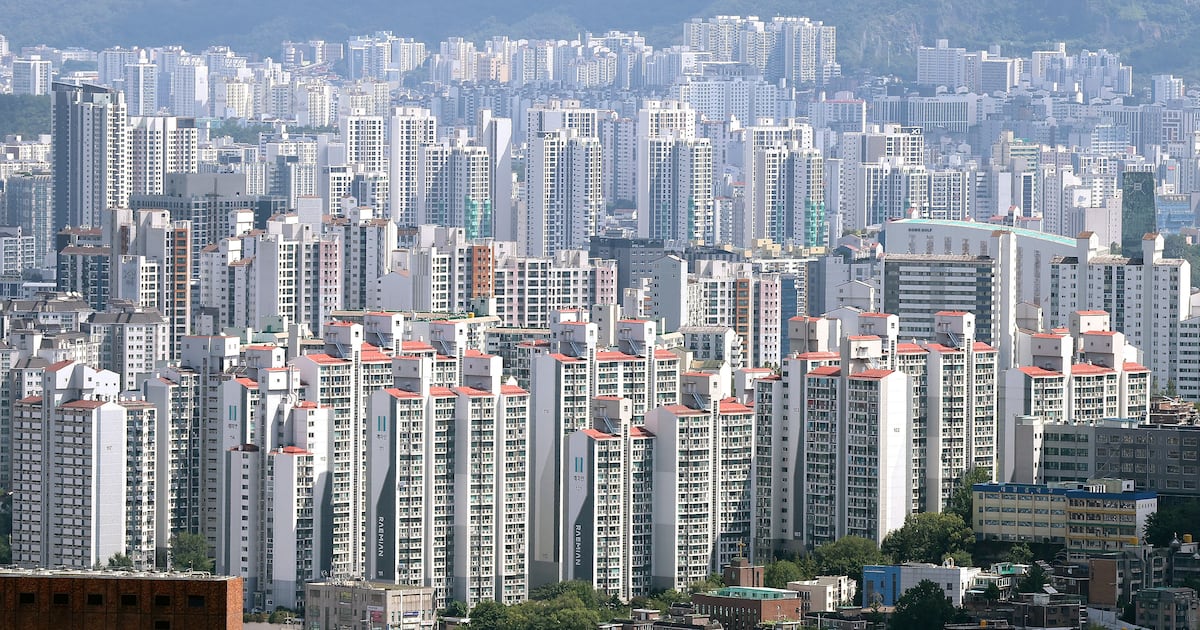 강남구