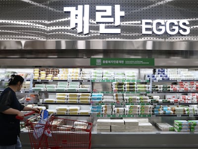 7일 서울 시내 한 대형마트에 계란이 진열돼 있다. /연합뉴스