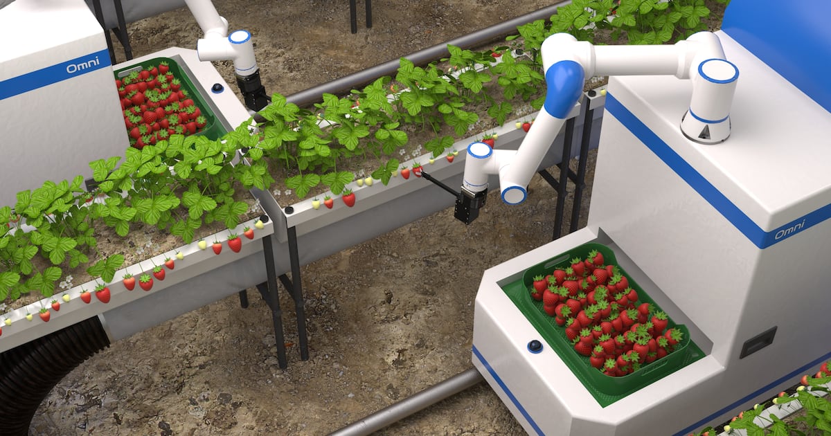 일손 없는 농어촌으로, 로봇 농부·AI 어부 출동 - 뉴스 썸네일 이미지