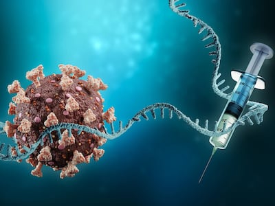 바이러스 ‘생존술’ 빌렸더니…mRNA 수명 3배 늘었다