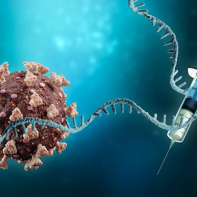 바이러스 ‘생존술’ 빌렸더니…mRNA 수명 3배 늘었다