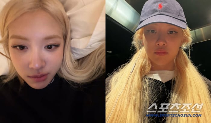 로제, 민낯 침대 셀카도 화보 그 자체…몽환 분위기 독보적 아우라 thumbnail