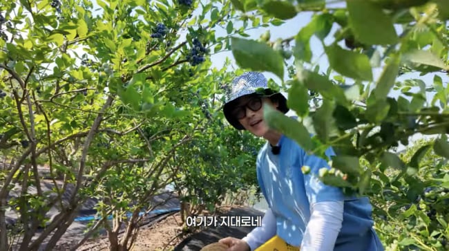 한혜진 母, 블루베리 따는데 집중..‘사위’ 김강우도 못 알아봐 “PD님인 줄” (김강우)
