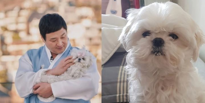 구성환 반려견 꽃분이 비보…나혼산 멤버들도 침통