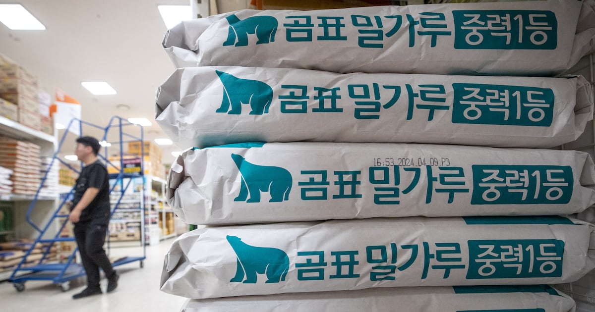 '밀가루 가격 담합' 제분업체 전·현직 대표 구속영장 기각 - 뉴스 썸네일 이미지