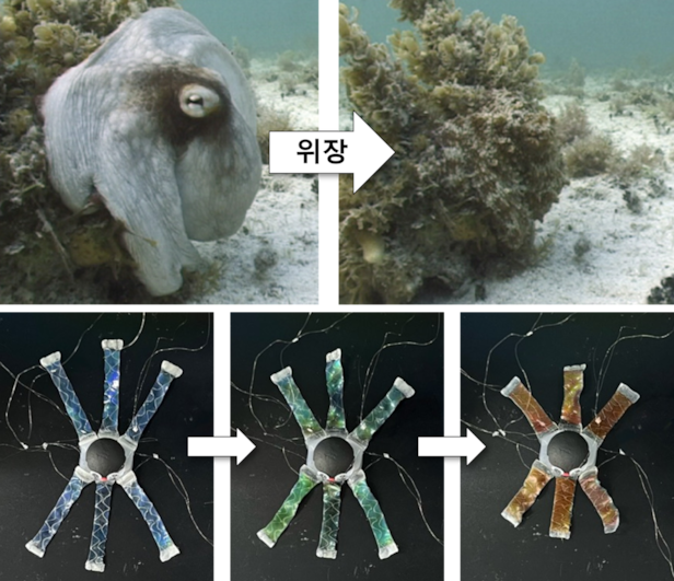 Octoid 문어처럼 색깔 바꾸는 ‘변신 로봇’ 등장!