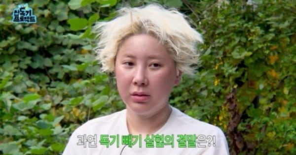 Mountain Toxic Energy Project Previews Unpredictable Chemistry - 조선일보