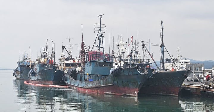 Nine Chinese Crew Members Arrested for Illegal Fishing Near Yeonpyeong Island - 조선일보