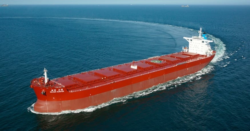 시노코 관련 보도 이미지