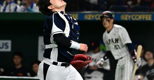 파울 플라이를 쫓는 장면