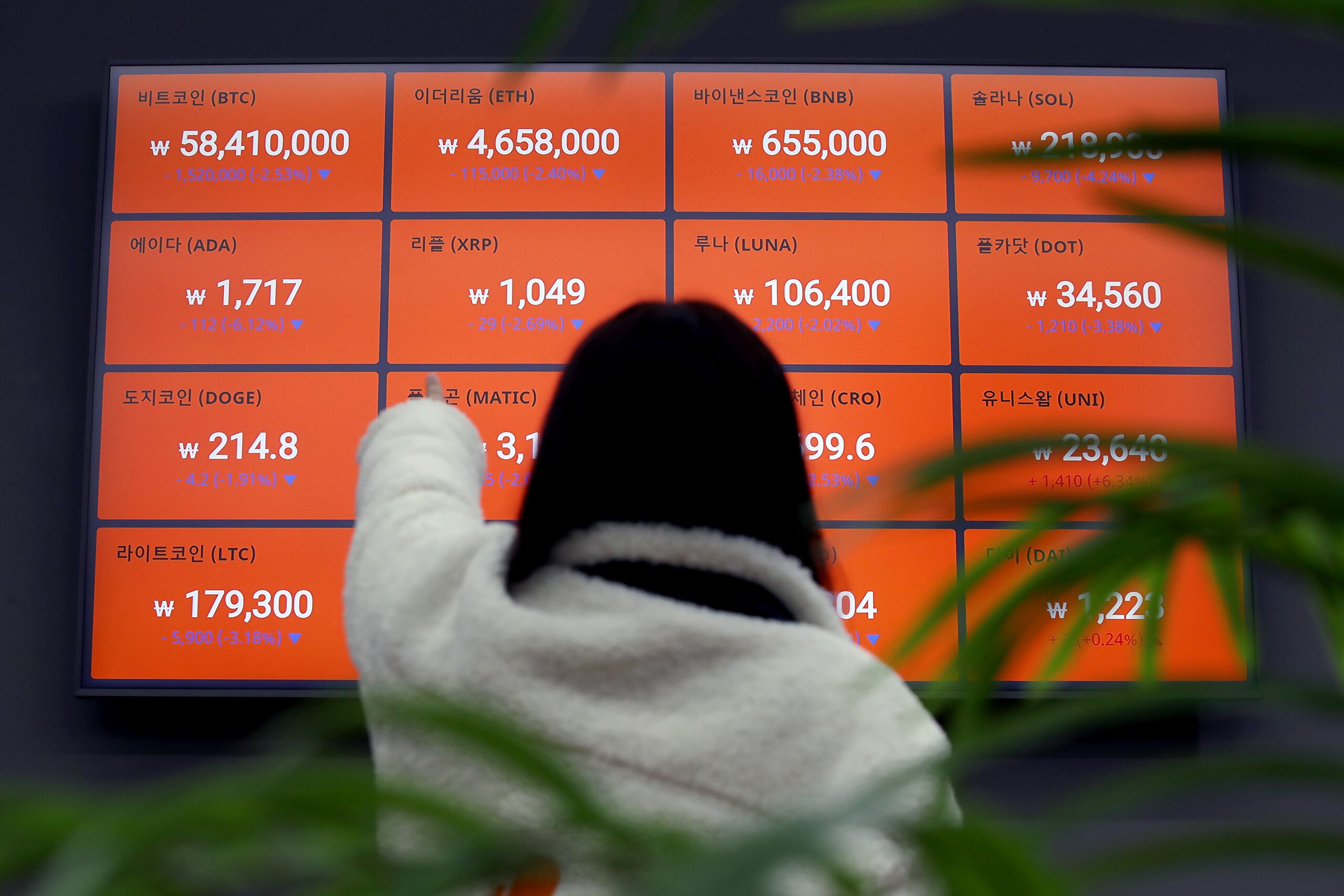 “6억원 간다” vs “0원 휴지로”… 롤러코스터 비트코인, 올해 어디로