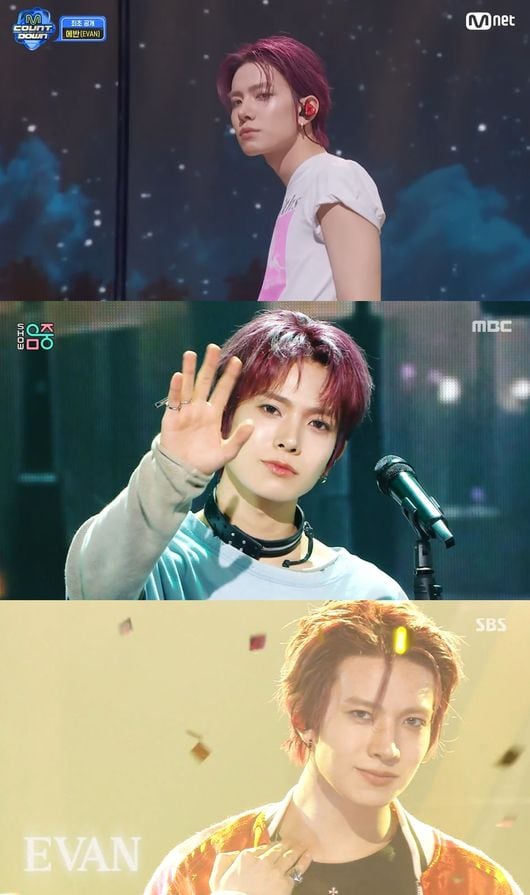 에반, 데뷔부터 핫…한강 버스킹→대형 페스티벌까지 종횡무진