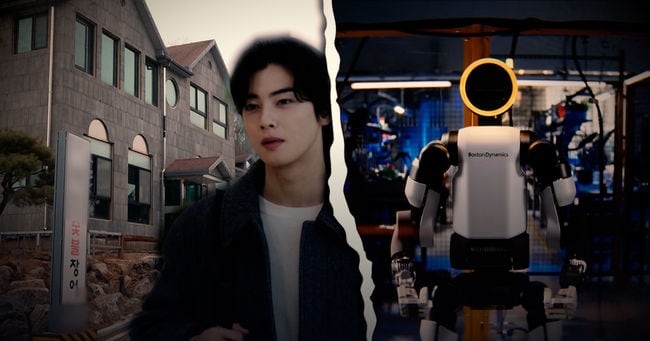 Celebrities' Solo Agencies Exposed as Tax Evasion Tools