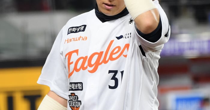 손아섭 관련 보도 이미지