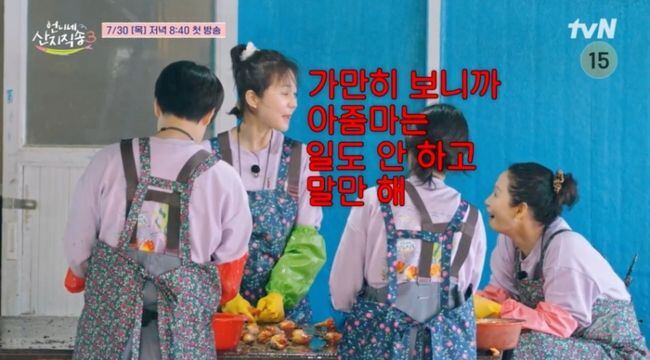염정아·김선영·강유석·노윤서, '찐가족' 사남매 뭉쳤다…'산지직송3' 예고부터 터진 케미
