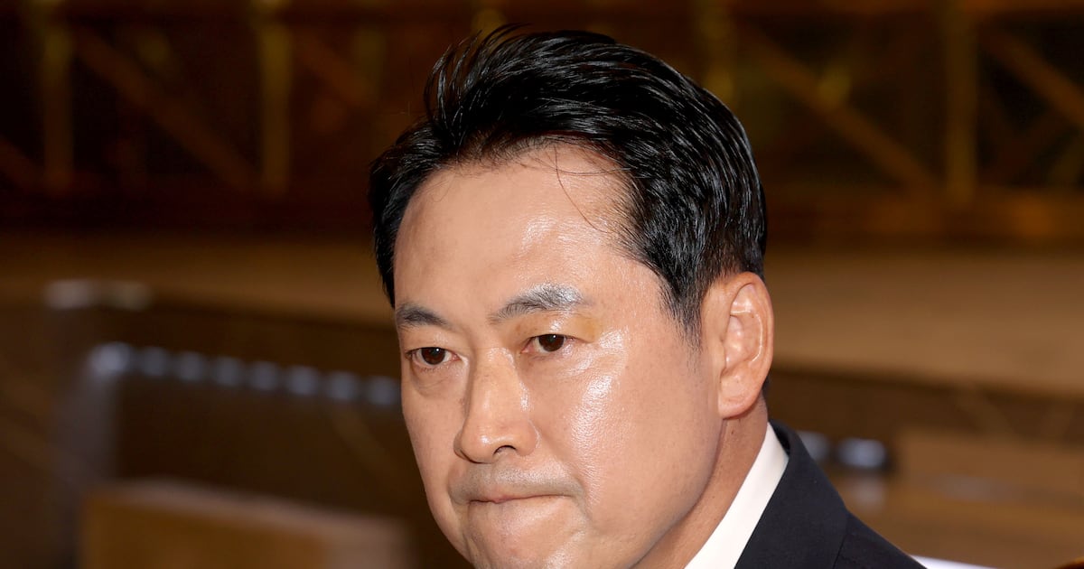 정치 전략 관련 보도 이미지