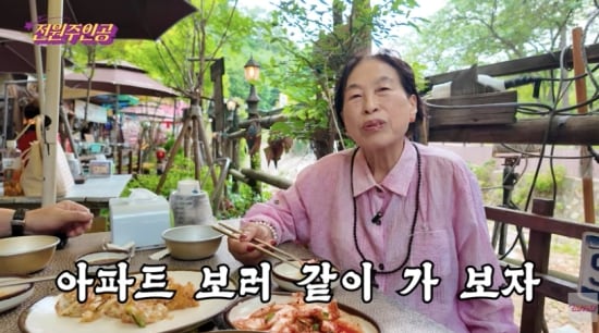 ‘고관절 수술’ 전원주, ‘21배 오른’ 구기동 집 두고 아파트 가나 “또 넘어지면 큰일”(전원주인공)