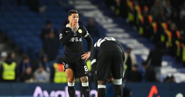 로세니어 감독 관련 보도 대표 이미지