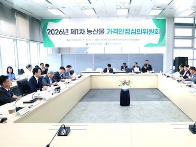농산물가격안정제 첫 대상 마늘·양파…정부, 평년 가격 80% 보장